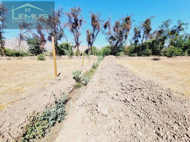 #116 - Terreno para Venta en Rinconada - V - 3