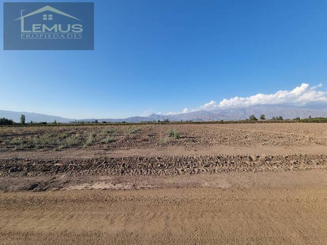 #121 - Terreno para Venta en Rinconada - V - 2