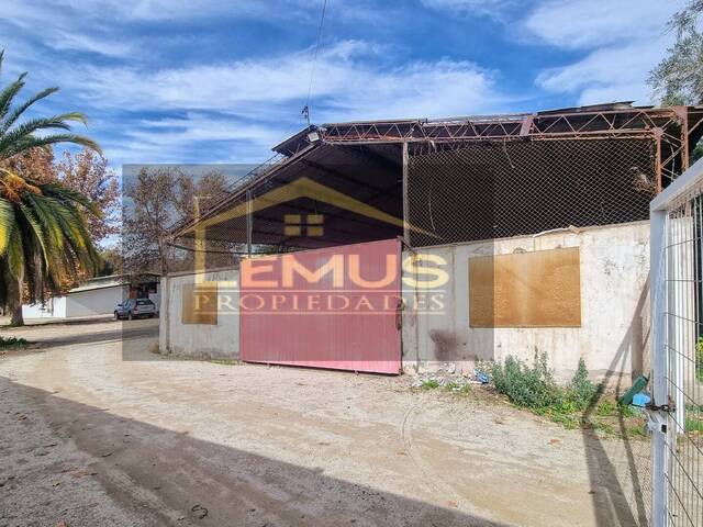 #175 - Bodega para Arriendo en San Esteban - V - 2