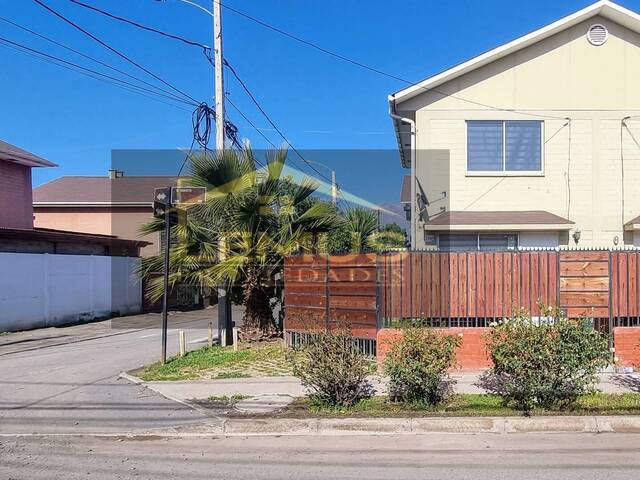 #188 - Casa para Arriendo en San Felipe - V - 2